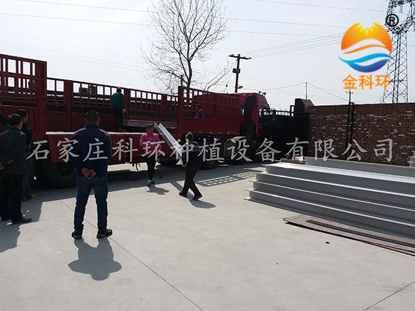 好色先生看污片7