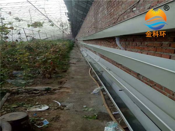 后墙好色先生软件下载