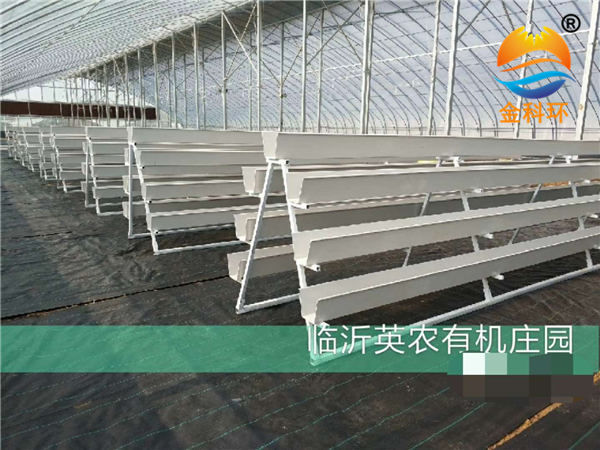 草莓好色先生软件下载25
