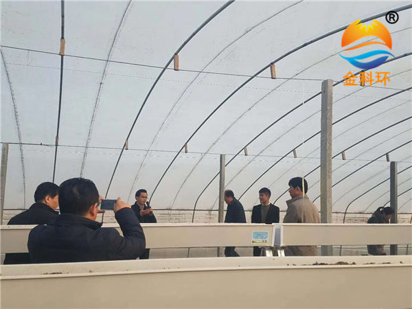 草莓好色先生软件下载16