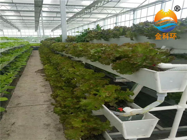 石家庄好色先生TVAPP种植设备有限公司14