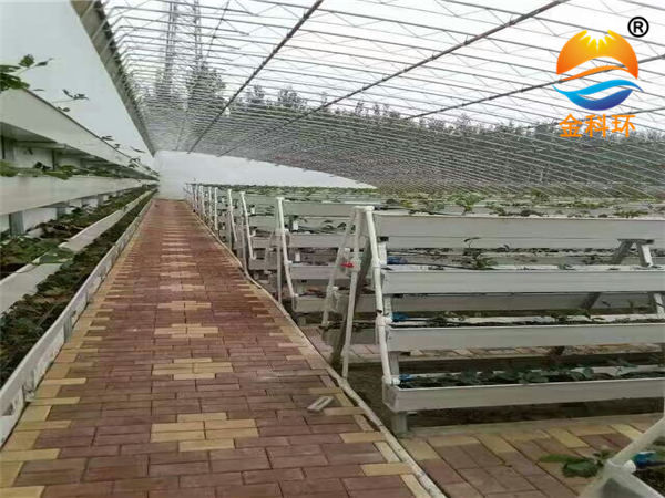 后墙好色先生软件下载3