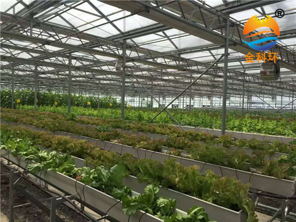 蔬菜好色先生软件下载2