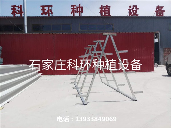 黄色好色先生架