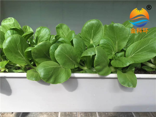 蔬菜好色先生软件下载 (23)