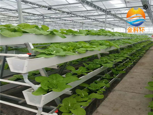 蔬菜好色先生软件下载4
