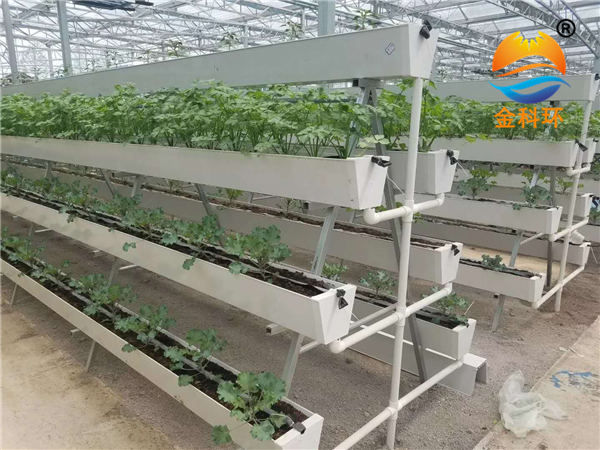 蔬菜好色先生软件下载 (21)